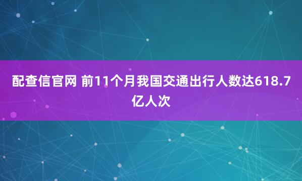配查信官网 前11个月我国交通出行人数达618.7亿人次