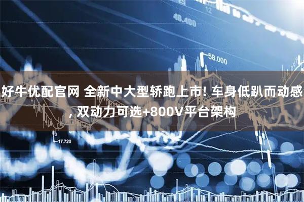 好牛优配官网 全新中大型轿跑上市! 车身低趴而动感, 双动力可选+800V平台架构